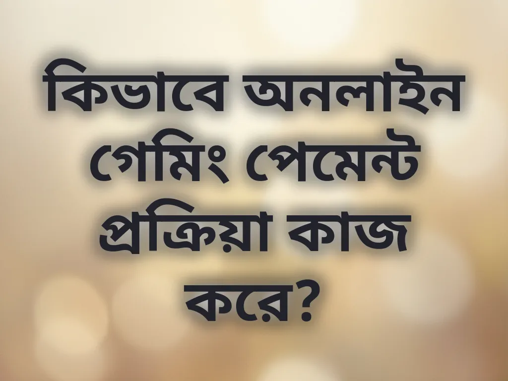 পেমেন্ট গাইডলাইন