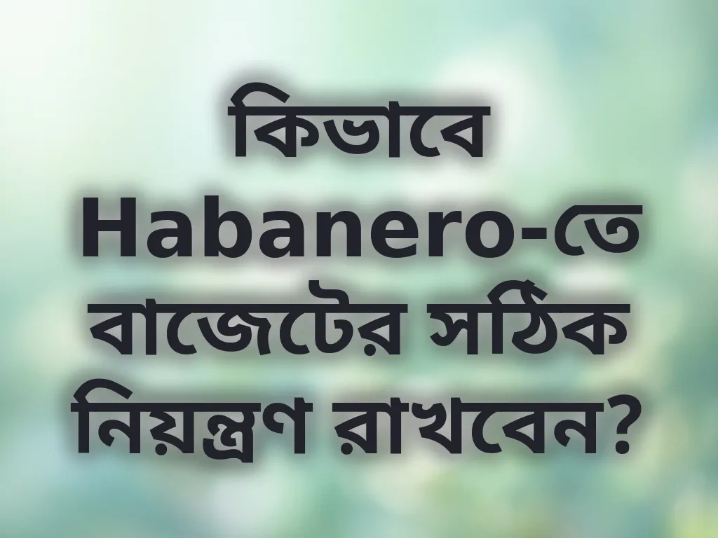 বাজেট ম্যানেজমেন্ট গাইড